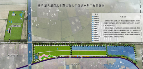 伍姓湖入湖口水生态治理人工湿地一期工程